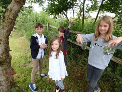 The Bug Hotel