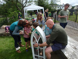 The Bug Hotel
