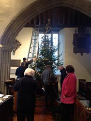 Christmas tree 2014