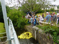 Duck Race 2021