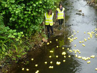 Duck Race 2021