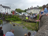 Duck Race 2021