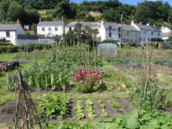 Swimbridge Open Gardens 2016