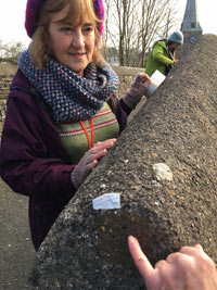 Lichen survey 2017