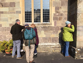 Lichen survey 2017