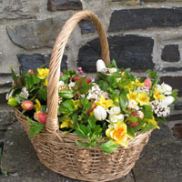 Basket of posies for Mothering Sunday