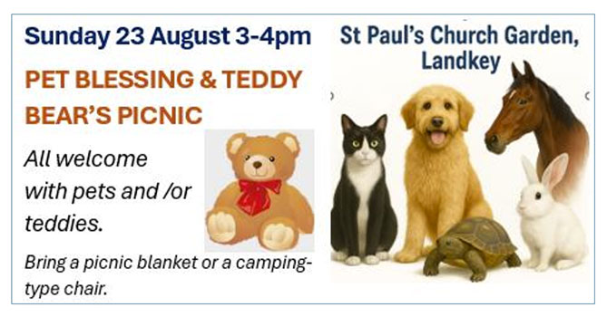 Pet blessing service poster