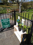 Plant sale
