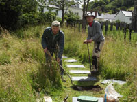 Streamside gardens stepping stones