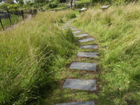Streamside gardens stepping stones