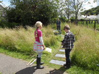 Streamside gardens stepping stones